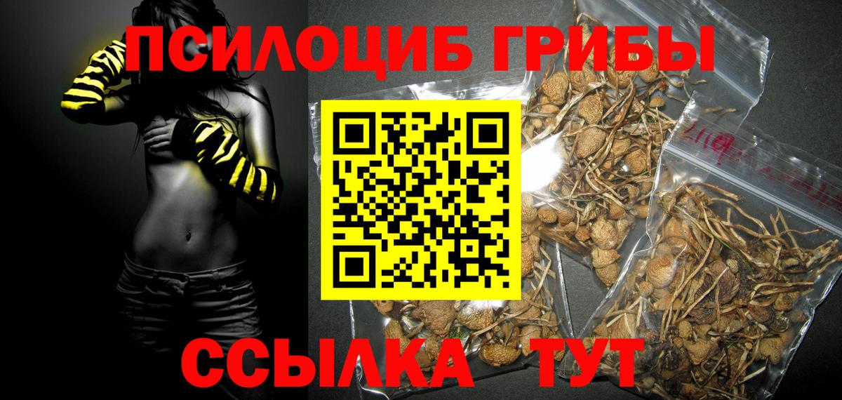 Псилоцибиновые грибы MAGIC MUSHROOMS Каспийск