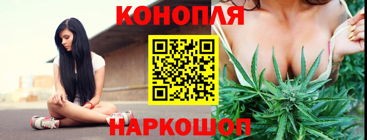 Бошки марихуана сатива  Вход с VPN  Каспийск  Конопля план 
